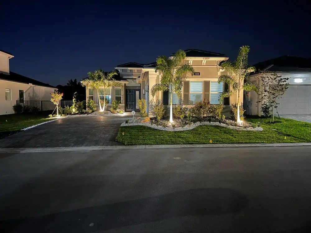 Front yard with landscape lighting on palms and driveway at night